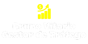 Bruno Vitorio Gestor de Tráfego